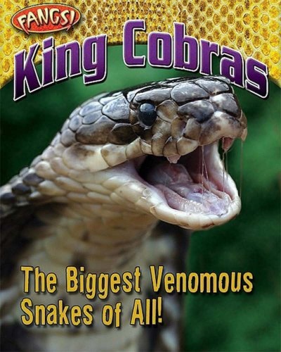 King Cobras: بزرگترین مارهای سمی از همه! (دندان های نیش)