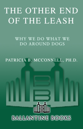 انتهای دیگر لیش