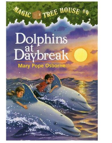 دلفین ها هنگام طوفان روز