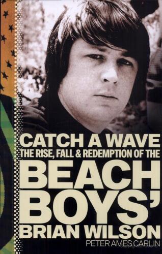 ﻿برایان ویلسون، بازی Catch a Wave: The Rise, Fall, and Redemption of the Beach Boys