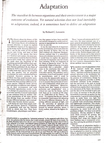 حجم انطباق 239