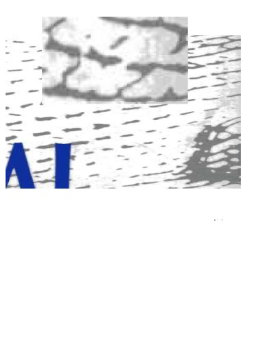 ﻿اقتصاد شبه عقلانی