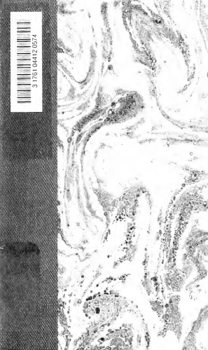 ﻿اخلاق نیچه