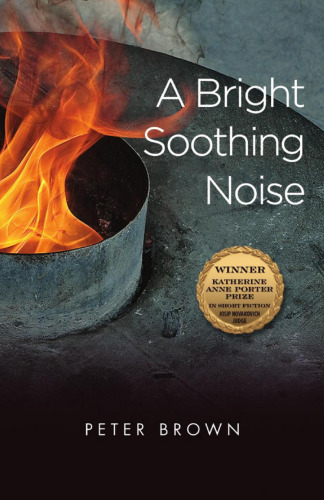 ﻿صدای آرام بخش روشن