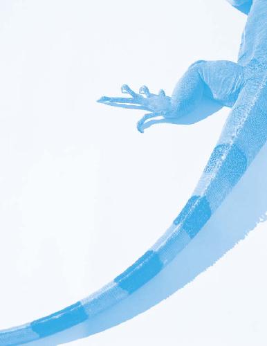 ﻿مسائل مفهومی در زیست شناسی تکاملی