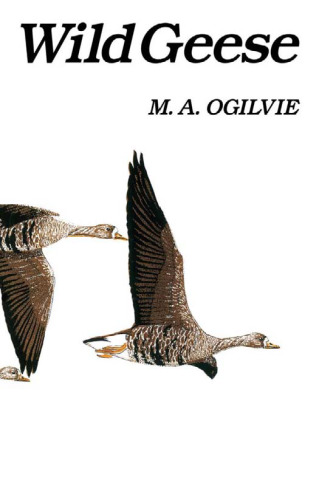 ﻿غازهای وحشی