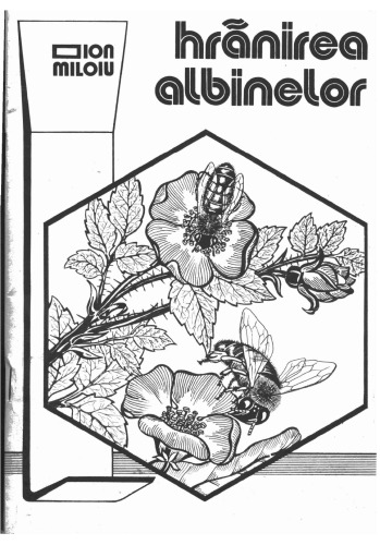 ﻿غذا دادن به زنبورها