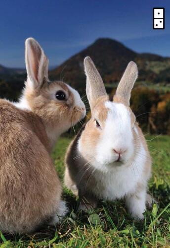 ﻿سلسله مراتب سرایت زارلا: علم ، طراحی و مهندسی ایده های مسری