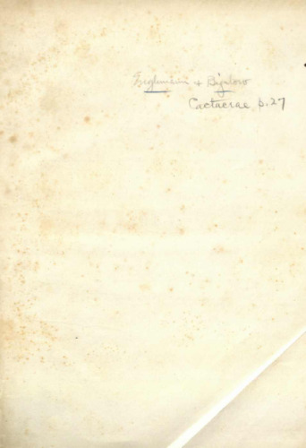 ﻿مسیر نزدیک سی و پنجمین موازی که توسط ستوان A.W. ویپل، مهندسان توپوگرافی، در 1853 و 1854.