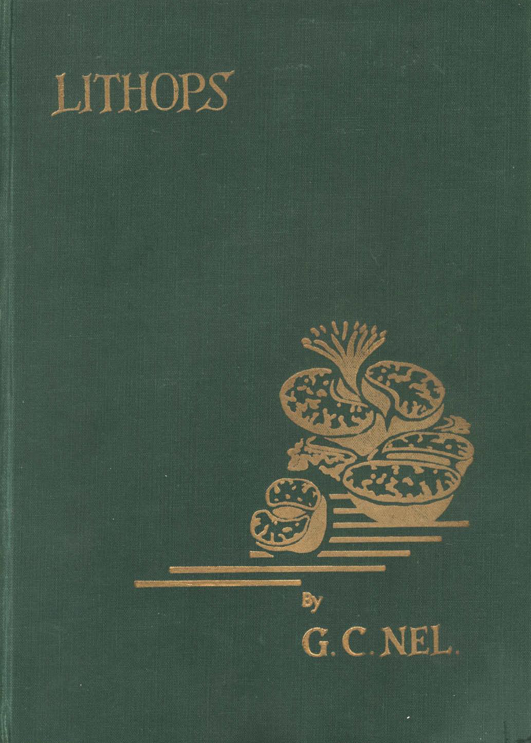 ﻿لیتوپس ها