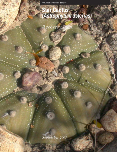 ﻿کاکتوس ستاره ای (Astrophytum asterias). برنامه بهبود