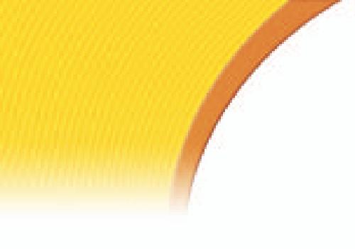 ﻿جنین شناسی پزشکی لانگمن