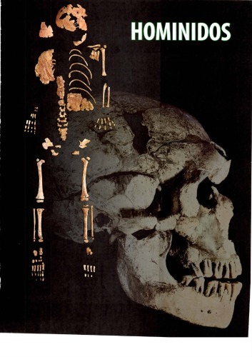 پژوهش و علوم: تکامل انسان (مباحث ، 44)