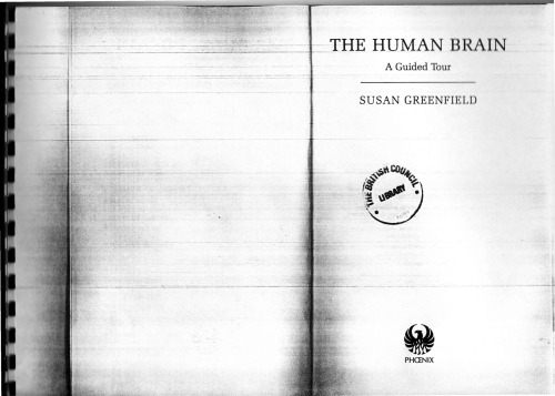 ﻿مغز انسان. یک تور با راهنما