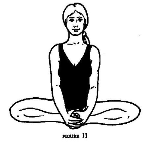 ﻿Hatha Yoga Pradipika: متن کلاسیک یوگا