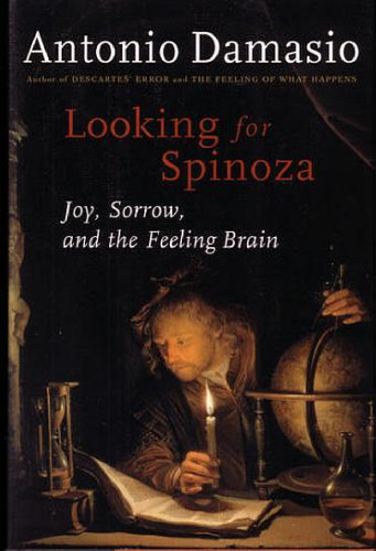 ﻿در جستجوی Spinoza: Joy، Sorrow and the Human Brain