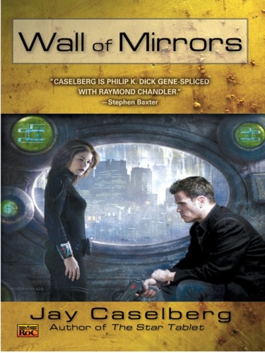 ﻿دیوار آینه ها