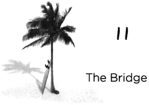 ﻿مجموعه کریستی میلر، جلد 2