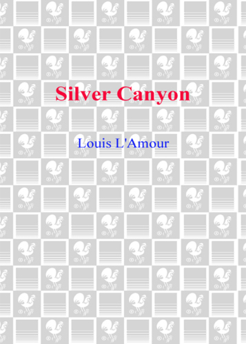 ﻿دره نقره ای: یک رمان