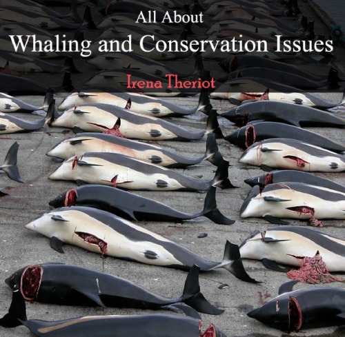 ﻿همه چیز درباره شکار نهنگ و مسائل حفاظتی