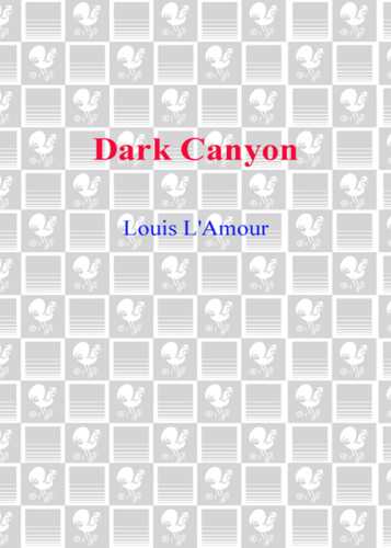 ﻿دره تاریک