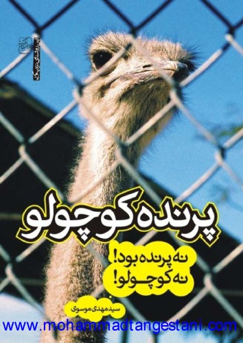 ﻿پرنده کوچولو نه پرنده بود نه کوچولو