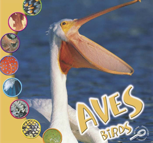 Aves