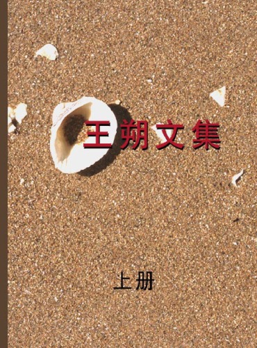 ﻿王朔文集 上 Works of Wangshuo(Part 1)