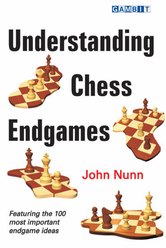 ﻿درک بازیهای آخر شطرنج