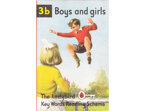 ﻿کتاب طرح خواندن کلمات کلیدی Ladybird 3b - پسران و دختران