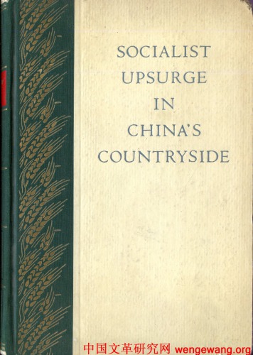 پیشرفت سوسیالیستی در حومه چینی