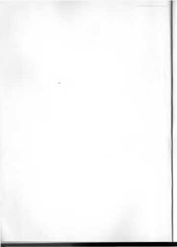 ملت و کار. مقاله در مورد فرهنگ بورژوایی در ایتالیا: 1870-1925