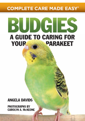 Budgies: راهنمایی برای مراقبت از پارکت خود