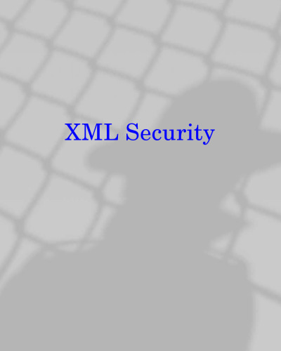 امنیت XML