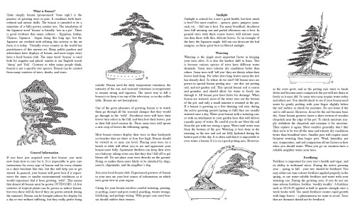 ﻿مراقبت از بونسای اساسی من