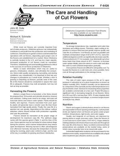 ﻿مراقبت و نگهداری از گلهای تازه