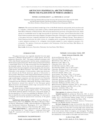 ﻿پستانداران پالئوژن