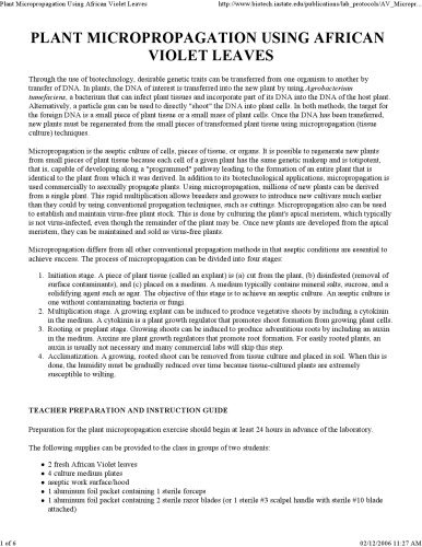 ﻿تکثیر گیاهان در باغبانی