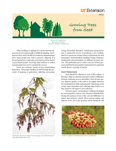 ﻿رشد درختان از دانه