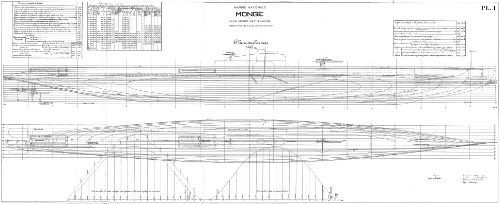 اریتروماهای ارتفاع ارتباط آنها با بیماری ووچس؛ مطالعه فیزیولوژیکی و آسیب شناختی