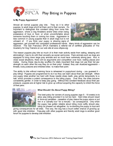 مرده بازی کن