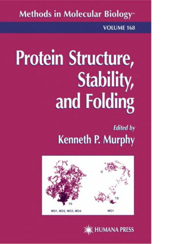 ﻿ساختار پروتئین، پایداری و تا شدن