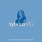 SylviusVG: واژه نامه ی بصری انسان