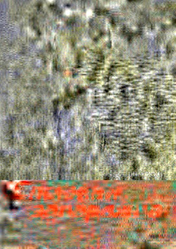 ﻿خاطرات یک زاپوریژیان نسخه مستند