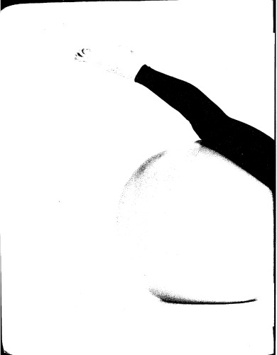 ﻿ProBodX: تمرین بدنی مناسب: مسیری برای تناسب اندام واقعی