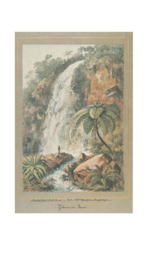 ﻿ارنست هاکل