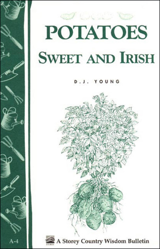 Potatoes, sweet and irish