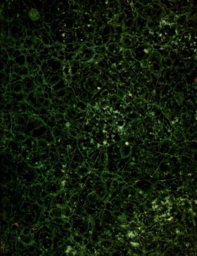 System der Musik-Wissenschaft und der praktischen Composition