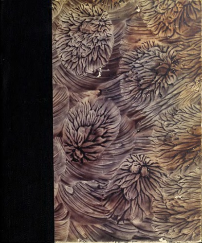 Gründliche Anweisung zur Composition