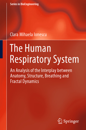 The Human Respiratory System: An Analysis of the Interplay between Anatomy, Structure, Breathing and Fractal Dynamics
